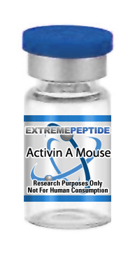 Activin A Mouse